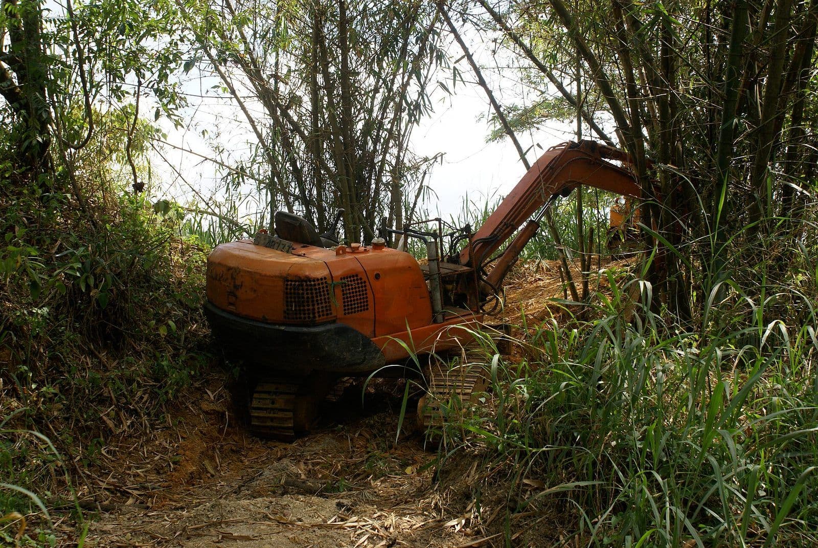 Miniexcavadora abriendo paso entre vegetación