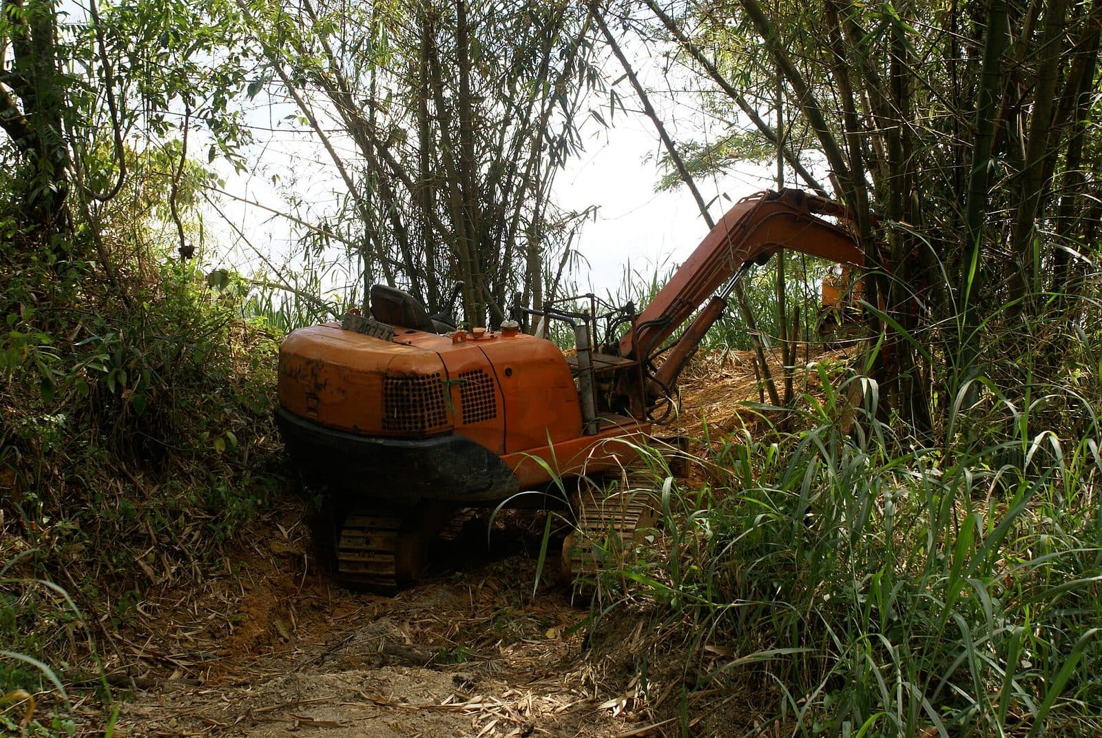 Miniexcavadora abriendo paso entre vegetación